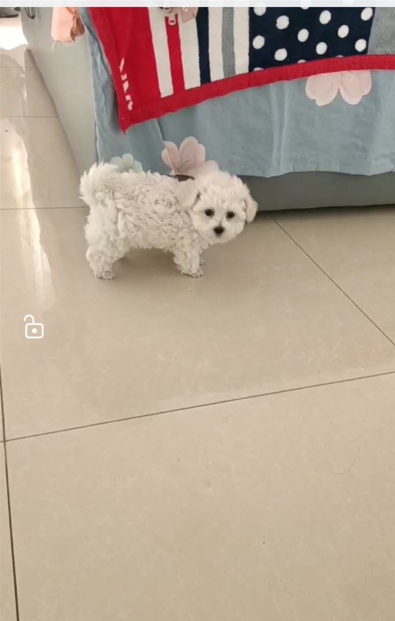 出售